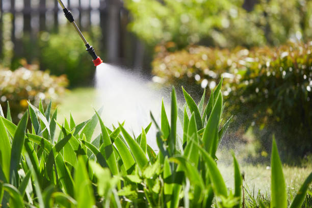 Tamper-Resistant Bait Stations for Rodents in Edina