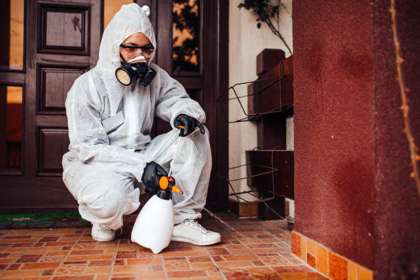 Attic and Crawl Space Rodent Treatment in Edina