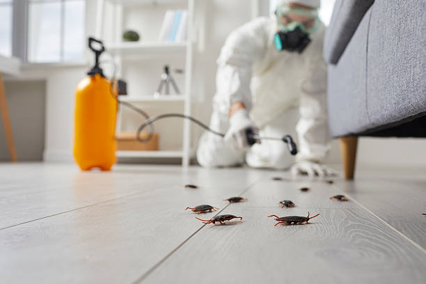 Commercial Rodent Management in Edina